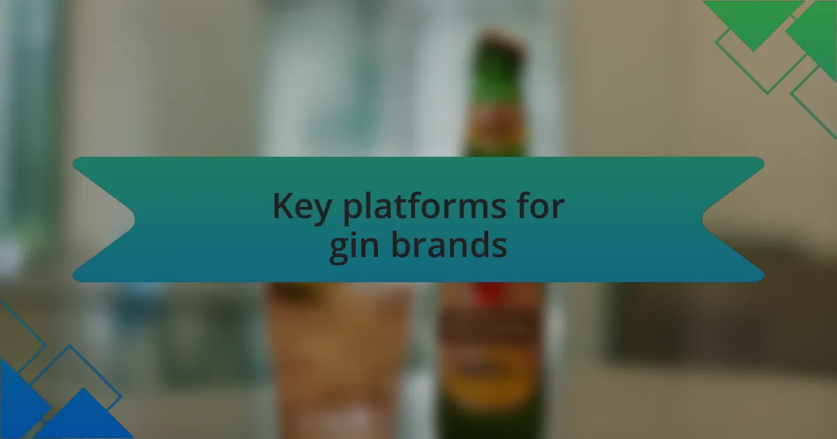 Key platforms for gin brands