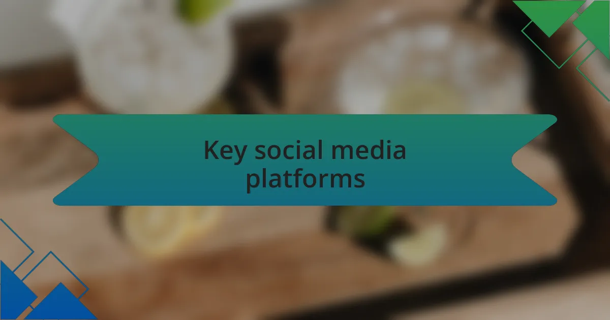 Key social media platforms