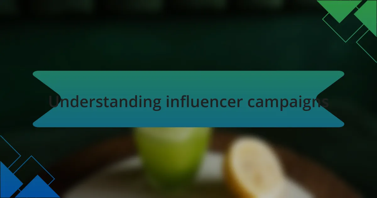 Understanding influencer campaigns
