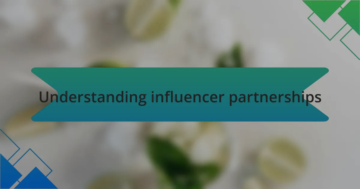 Understanding influencer partnerships